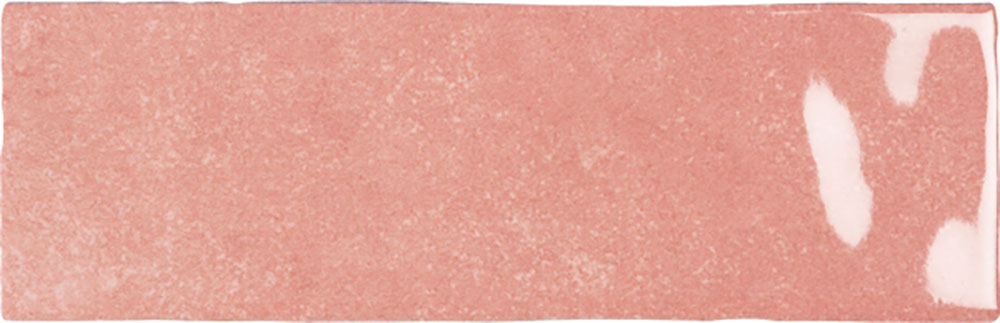 Rosa-Nolita